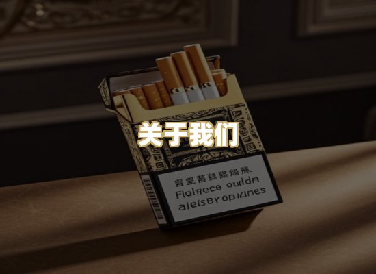 关于我们
